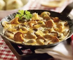 Paddenstoelenragout