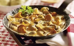 Paddenstoelenragout