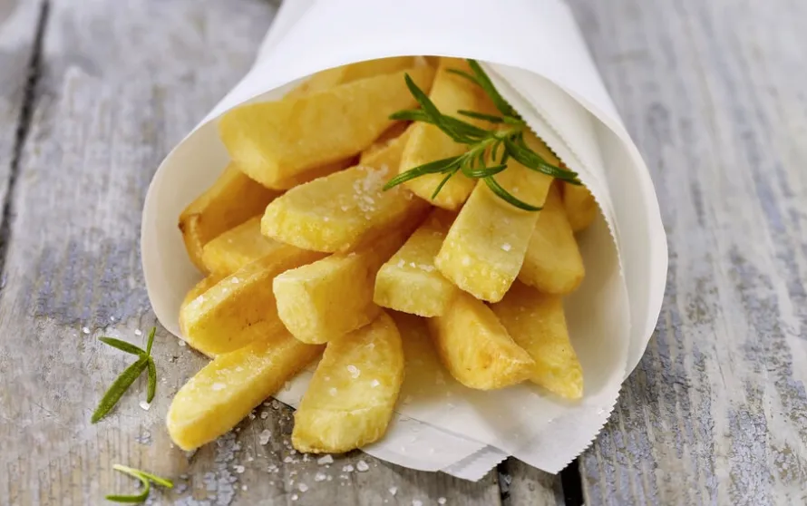 Vlaamse frieten