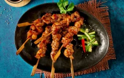 Yakitori spiesjes