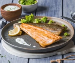 Zalmforelfilets met vel, natuur